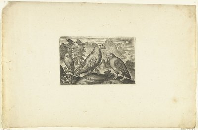 Aquila e una pernice da Anonymous