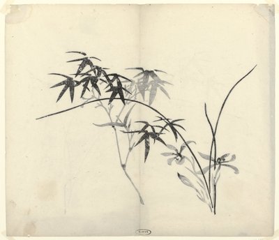 Bambù e Orchidee da Anonymous
