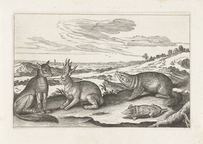 Animali del bosco da Anonymous