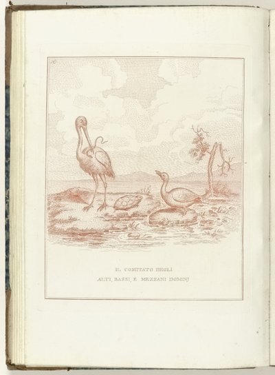 Comitato delle Alte, Basse e Medie Signorie, 1795 da Anonymous