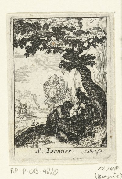 San Giovanni Battista penitente da Anonymous
