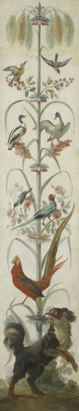 Raffigurazione decorativa con piante e animali da Anonymous