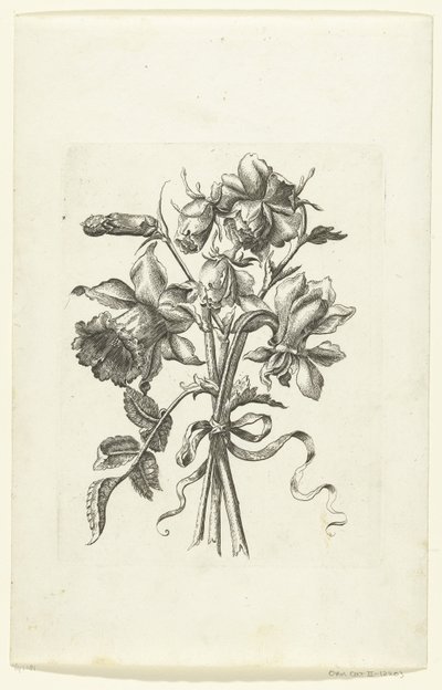 Tre fiori, tra cui un narciso e un garofano da Anonymous
