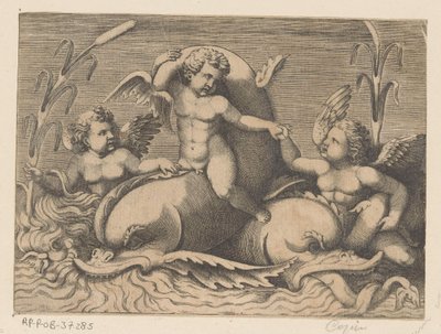 Tre putti con delfini da Anonymous