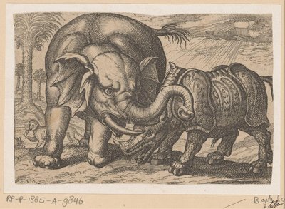 Un rinoceronte combatte con un elefante da Anonymous