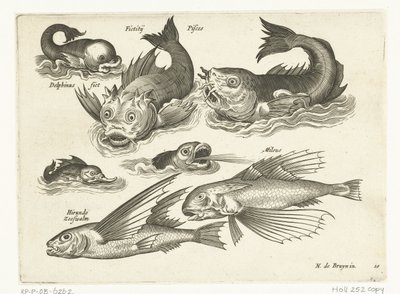 Animali acquatici fantastici, tra cui delfino e pesce sega da Anonymous