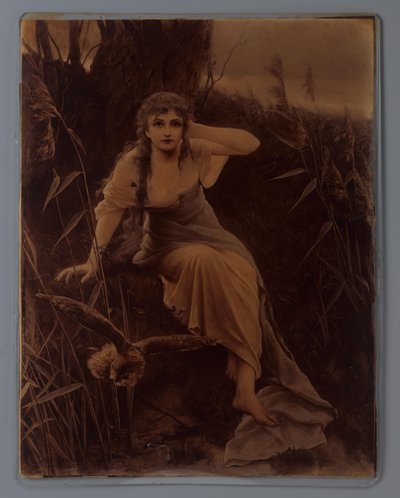Riproduzione fotografica di un dipinto di una giovane donna con gufo secondo Cuno von Bodenhausen da Anonymous