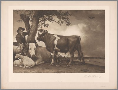 Riproduzione fotografica del dipinto Il toro di Paulus Potter, coll. Mauritshuis da Anonymous