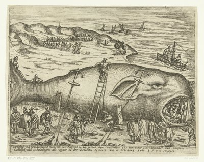 Balena arenata a Berckhey, 1598 da Anonymous