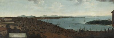 Veduta di Costantinopoli e del Serraglio dall