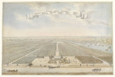 Veduta della piantagione Cornelis Vriendschap in Suriname da Anonymous