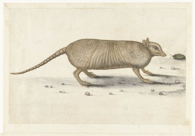 Armadillo (Lombard album) da Anonymous
