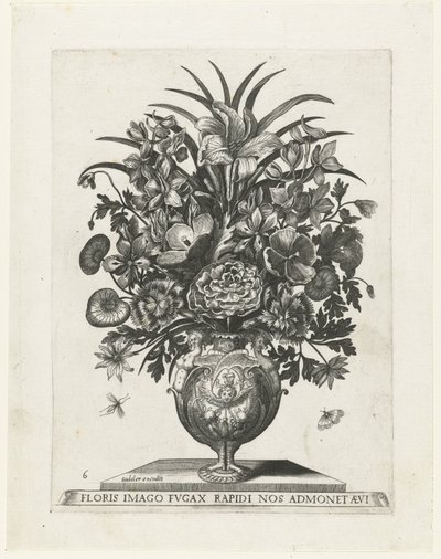 Vaso grottesco con un cherubino e ghirlande (Vasi con fiori) da Anonymous