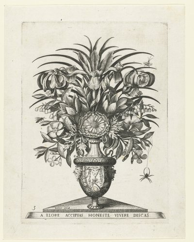 Vaso grottesco con due mascheroni ai lati di un bucranio da Anonymous