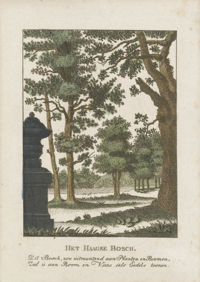 Haagse Bos da Anonymous