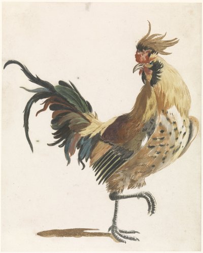 Gallo che cammina verso destra (versione B) da Anonymous