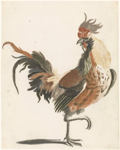 Gallo che cammina verso destra (versione A) da Anonymous