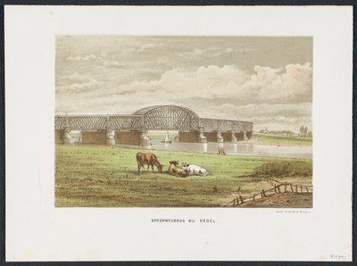 Ponte ferroviario di Hedel sul fiume Mosa, 1870 (serie) da Anonymous