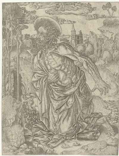 San Girolamo fa penitenza nel deserto da Anonymous