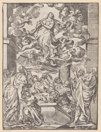 Ascensione di Maria da Anonymous
