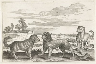 Cani (serie Animali quadrupedi) da Anonymous