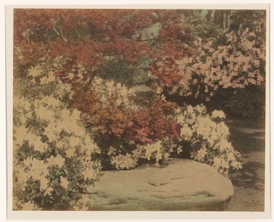 Giardino giapponese con fiori da Anonymous