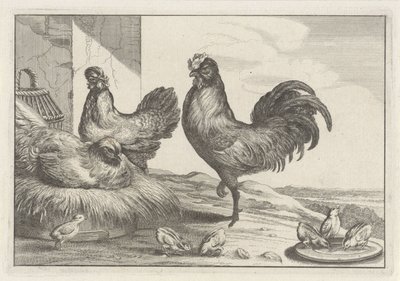 Gallina, galli e pulcini (Diversae avium species) da Anonymous