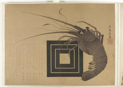 Aragosta (Album Shijo-surimono dal periodo 1840-1900) da Anonymous