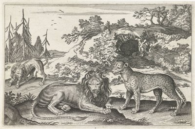 Leoni e leopardo (serie di animali quadrupedi) da Anonymous