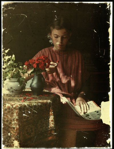 Ragazza che determina petali di fiori da Anonymous