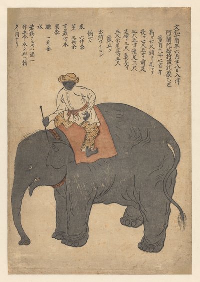 Elefante portato da una nave olandese nel 1813 da Anonymous