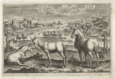 Cavallo e asini (Animalivm Qvaddrvpedvm) da Anonymous
