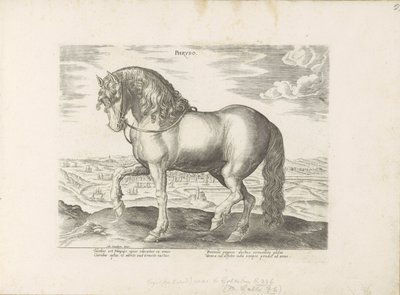 Cavallo della Frisia da Anonymous