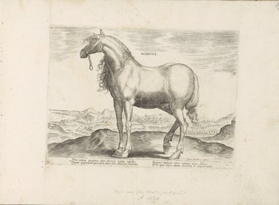 Cavallo dalla Grecia da Anonymous
