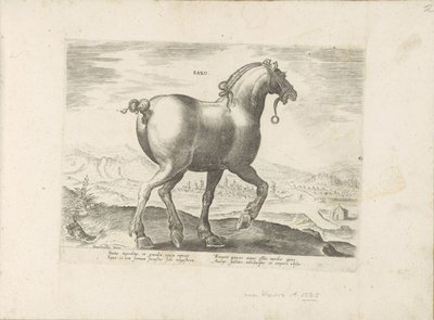 Cavallo della Sassonia da Anonymous