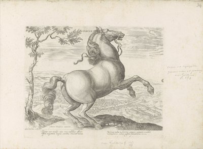 Cavallo toscano da Anonymous