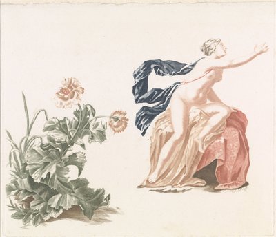 Papavero e figura femminile nuda da Anonymous