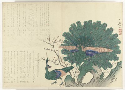 Pavoni (Album Shijo-surimono) da Anonymous