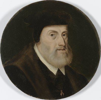 Ritratto di Carlo V, Sacro Romano Imperatore da Anonymous
