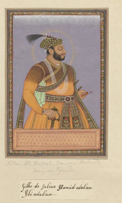 Ritratto di Ali Adil-shah, figlio di Sultan Mahmud; dopo suo padre è stato sovrano di Bijapur da Anonymous
