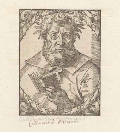 Ritratto di Callimaco da Anonymous