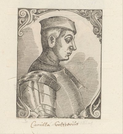 Ritratto di Camillus Vitellus da Anonymous