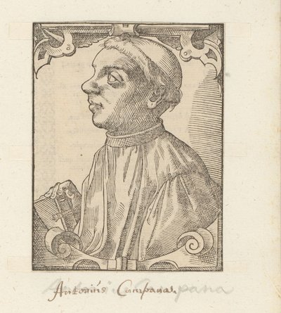 Ritratto di Giovanni Antonio Campani da Anonymous