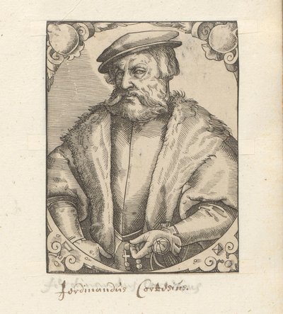 Ritratto di Hernán Cortés da Anonymous