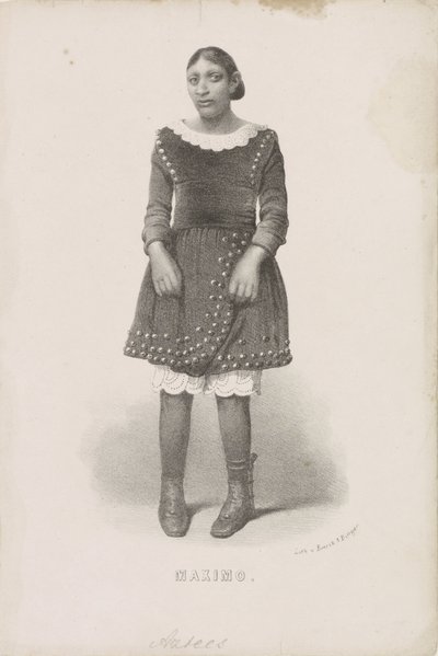 Ritratto di Máximo, 1857 da Anonymous