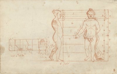 Studio di proporzioni di una bambina di sei anni da Anonymous