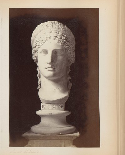 Scultura di Giunone Ludovisi nel Palazzo Altemps a Roma da Anonymous