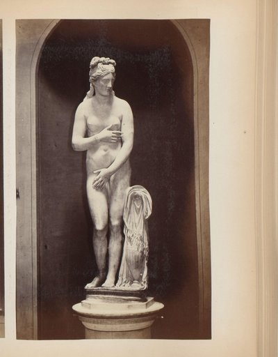Scultura di Venere nei Musei Capitolini a Roma, Italia da Anonymous