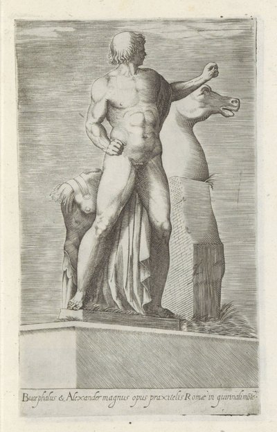 Scultura di uno dei Dioscuri sul Quirinale a Roma da Anonymous