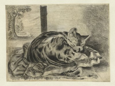 Gatto che dorme da Anonymous
